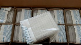 Platten für Gewebekulturen Falcon 353075