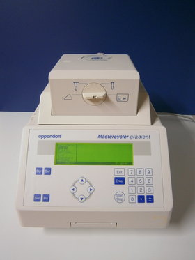 Eppendorf Mastercycler gradient