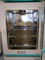 Heracell 150 CO2-Brutschrank